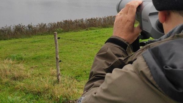 S14 LAZBW - Wildforschungsstelle