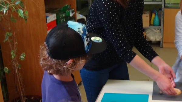 B18 Grüne Schule Luisenpark Mannheim