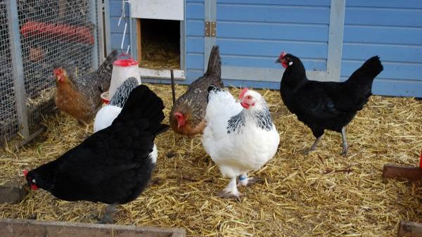 N16 Stoll VITA Stiftung