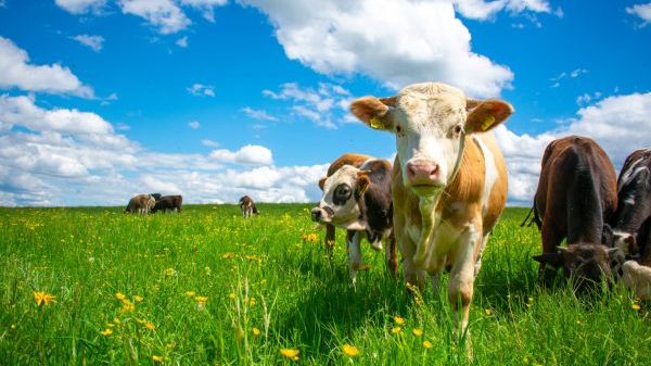 L01 Jugendhilfe Hoffmannhaus