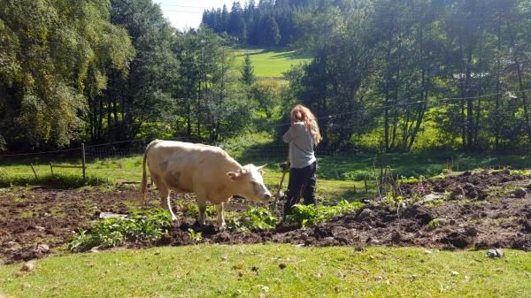 S02 Gemeinde Unterkirnach