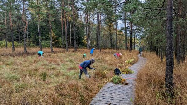 N15 Naturschutzzentrum Wurzacher Ried
