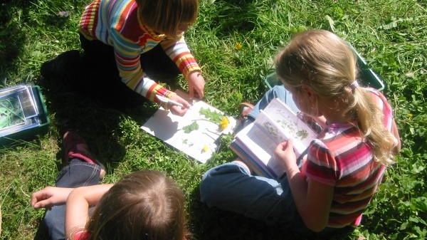 N02 Ökostation Freiburg