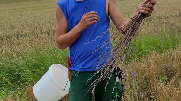 L15 miteinanderleben service gGmbH