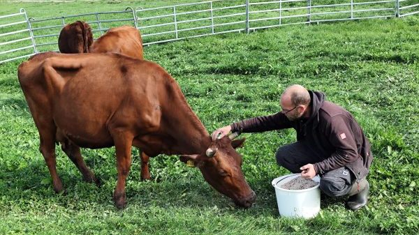 L01 Jugendhilfe Hoffmannhaus