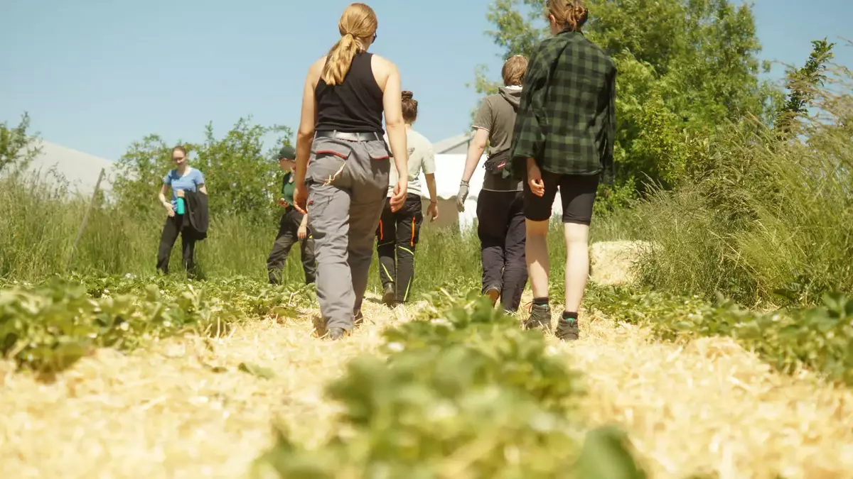 Arbeitseinsatz in der Landwirtschaft. Bild: FÖJ-LpB