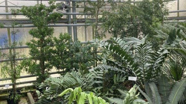 S19 Botanischer Garten der Universität Konstanz