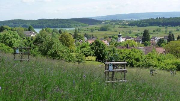 S17 Stadt Radolfzell - Abteilung Umwelt und Naturschutz