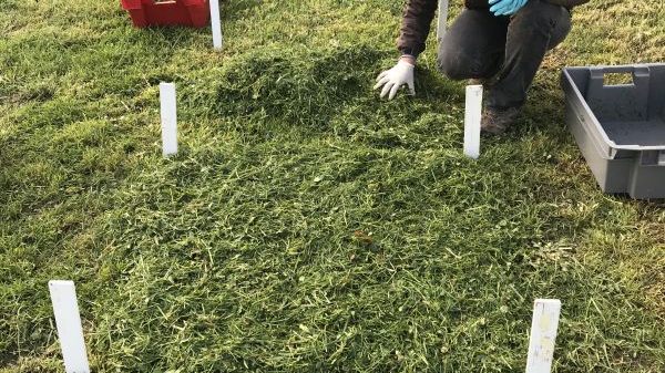 S13 LAZBW - Grünlandwirtschaft