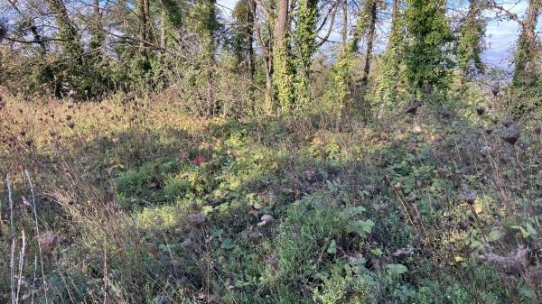 S18 Stadt Wiesloch - Fachgruppe 5.1 Team Umwelt, Klimaschutz, GIS