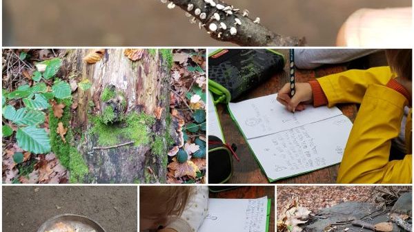 B04 WaldHaus Freiburg