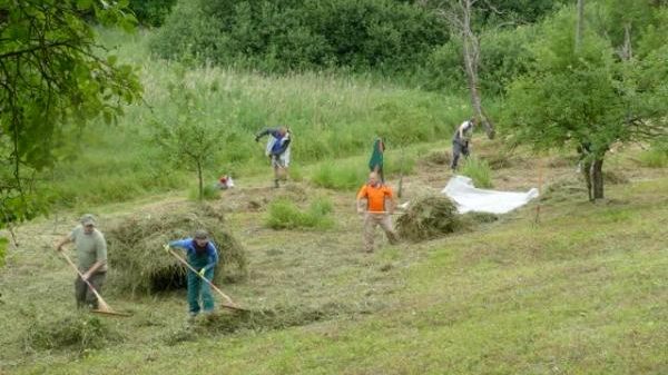 S06 Landschaftspflegetrupp Regierungspräsidium Karlsruhe
