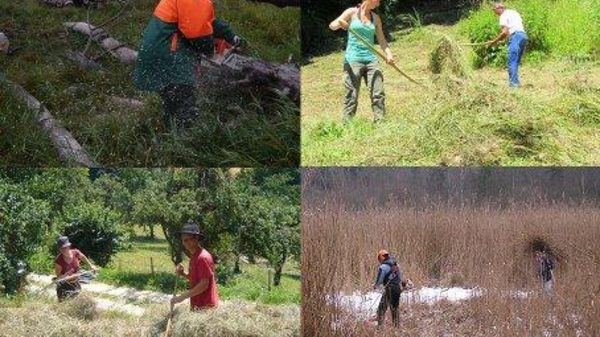 N14 BUND Naturschutzzentrum Westlicher Hegau