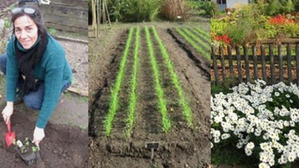 L11 Zentraler Mannheimer Lehrgarten