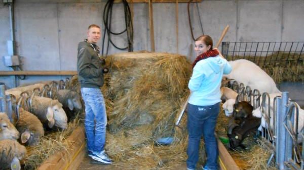 S03 Stadt Leinfelden-Echterdingen - Amt für Umwelt, Grünflächen und Tiefbau