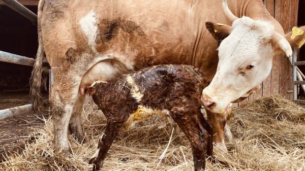 L16 SoLaWi Luzernenhof