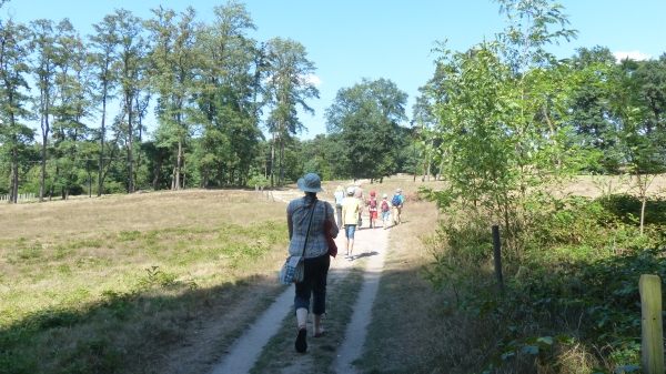 S10 Stadt Mannheim - Klima, Natur und Umwelt