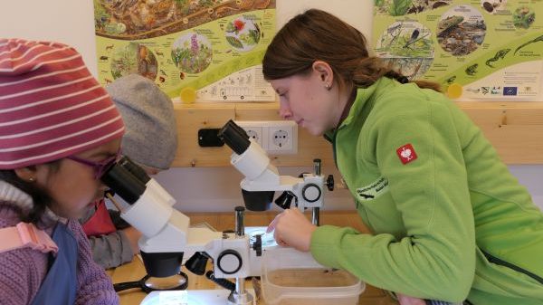 S09 Ökomobil - RP Freiburg