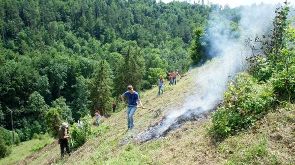 S09 Ökomobil - RP Freiburg