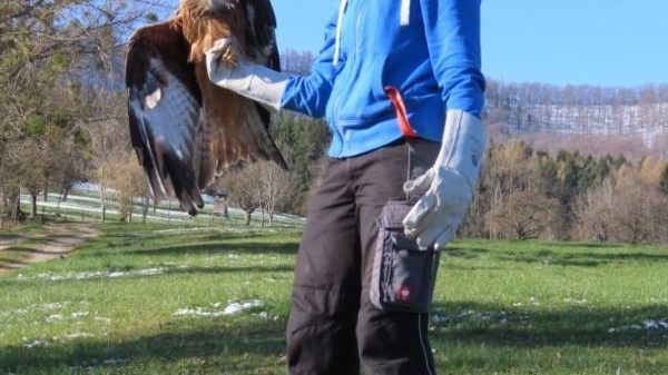 N01 NABU-Vogelschutzzentrum Mössingen