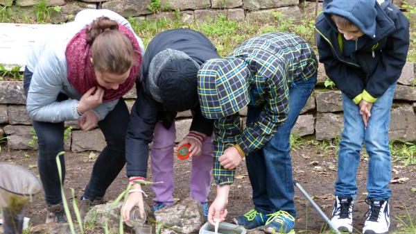 S10 Stadt Mannheim - Klima, Natur und Umwelt