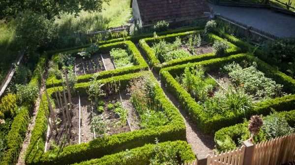 B20 Schwarzwälder Freilichtmuseum Vogtsbauernhof