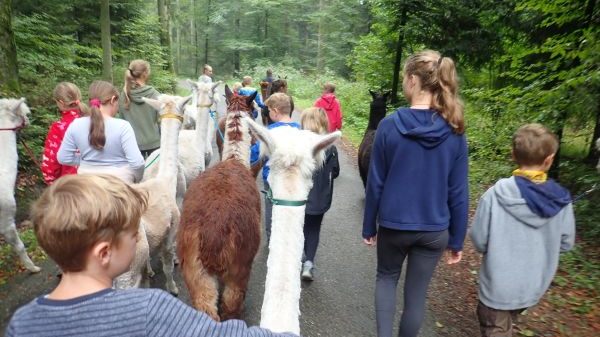 B06 CircArtive Haus - Hof - Pimparello