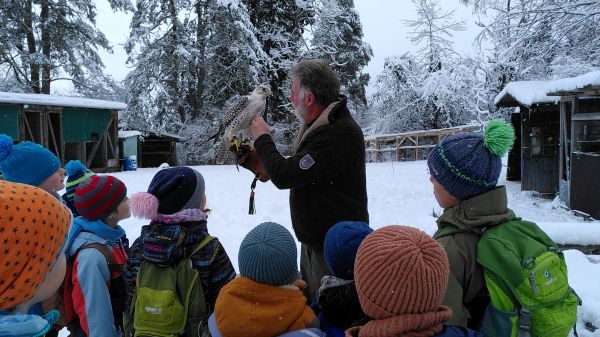 S05 GVV Donaueschingen - Umweltbüro