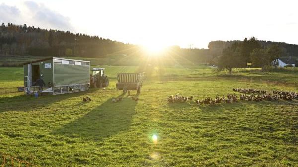 L01 Jugendhilfe Hoffmannhaus