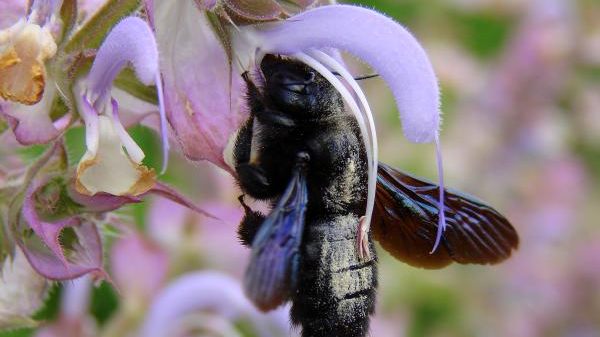 N02 Ökostation Freiburg