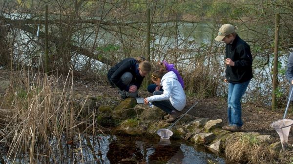 S10 Stadt Mannheim - Klima, Natur und Umwelt