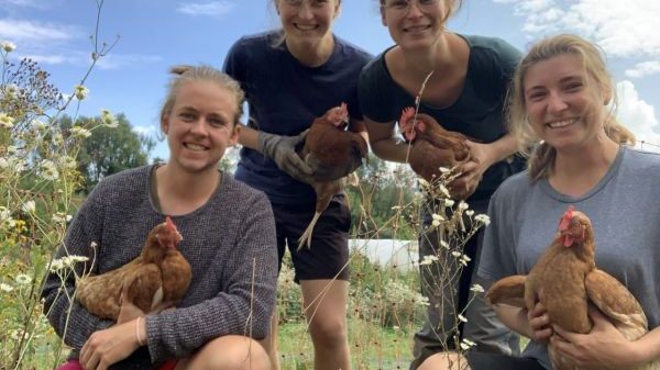 L10 Bioland-Gemüsegärtnerei Eulenhof GbR