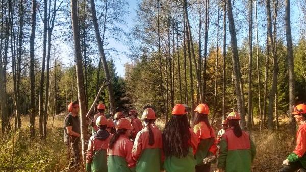 B14 Waldschulheim Burg Hornberg ForstBW