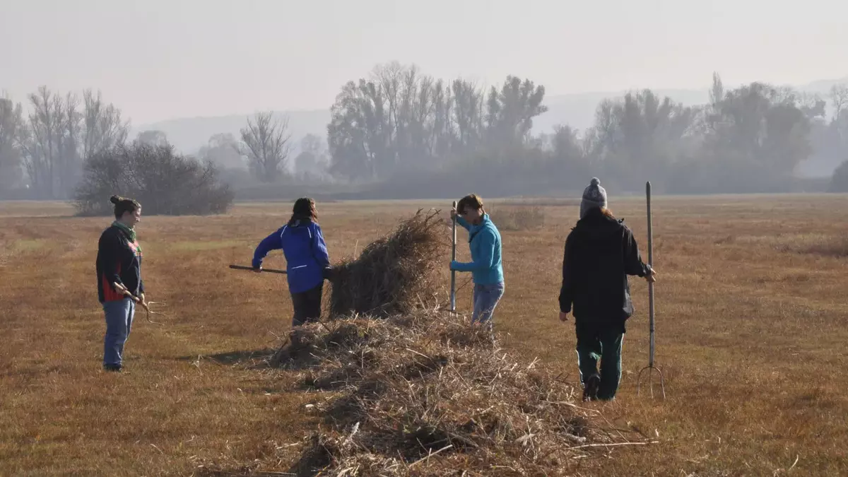 Teilnehmende eines Freiwilligen Ökologischen Jahrs. Foto: foej-bw.de