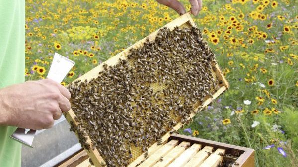 U07 Erdgas Südwest GmbH