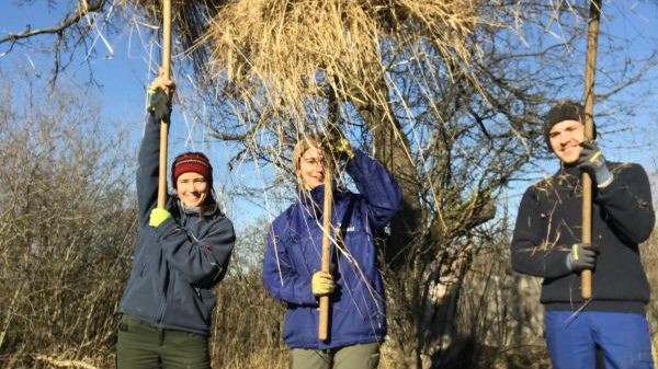 N11 NABU Bodenseezentrum