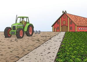 Grafik: Landwirtschaft