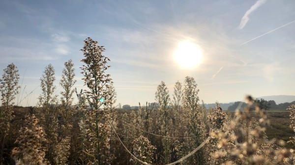 N14 BUND Naturschutzzentrum Westlicher Hegau