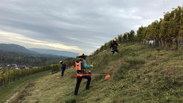 N11 NABU Bodenseezentrum